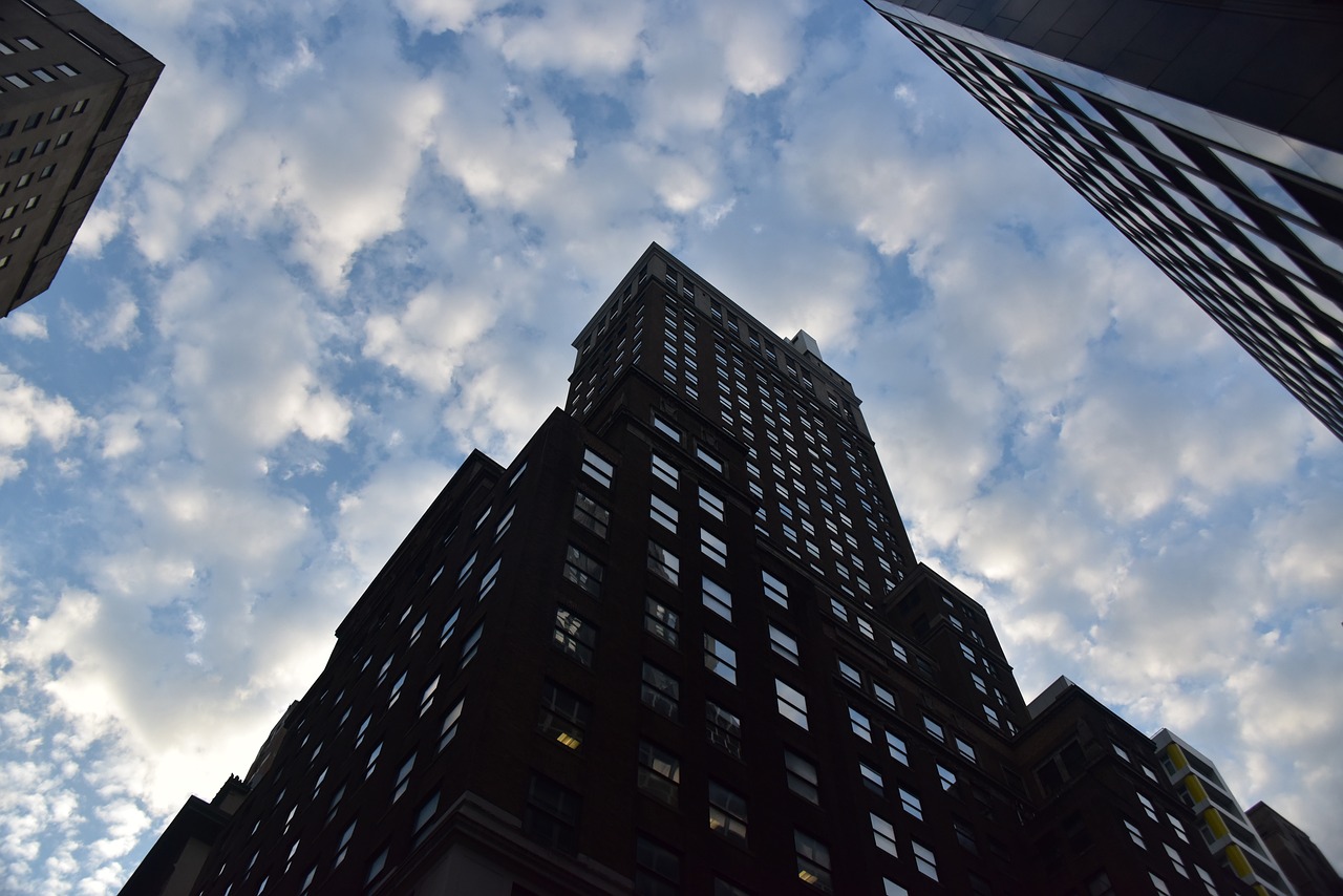 莘莊最新動態,城市發展的脈搏與未來展望