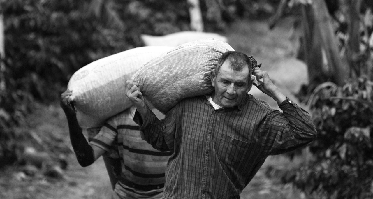 電改最新動態，推動能源轉型，助力可持續發展