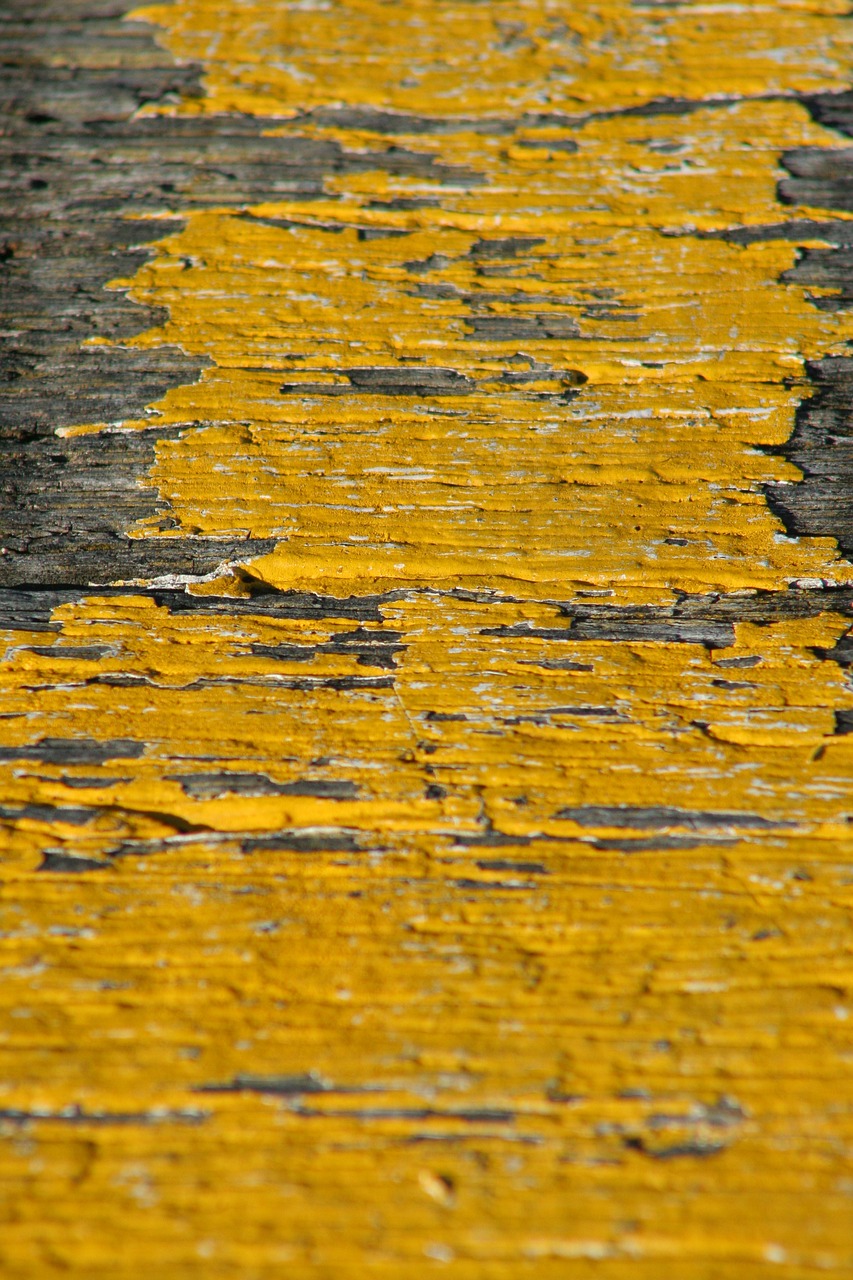 壹品蘭軒最新動(dòng)態(tài)揭秘,探索未來,新篇章展現(xiàn)眼前