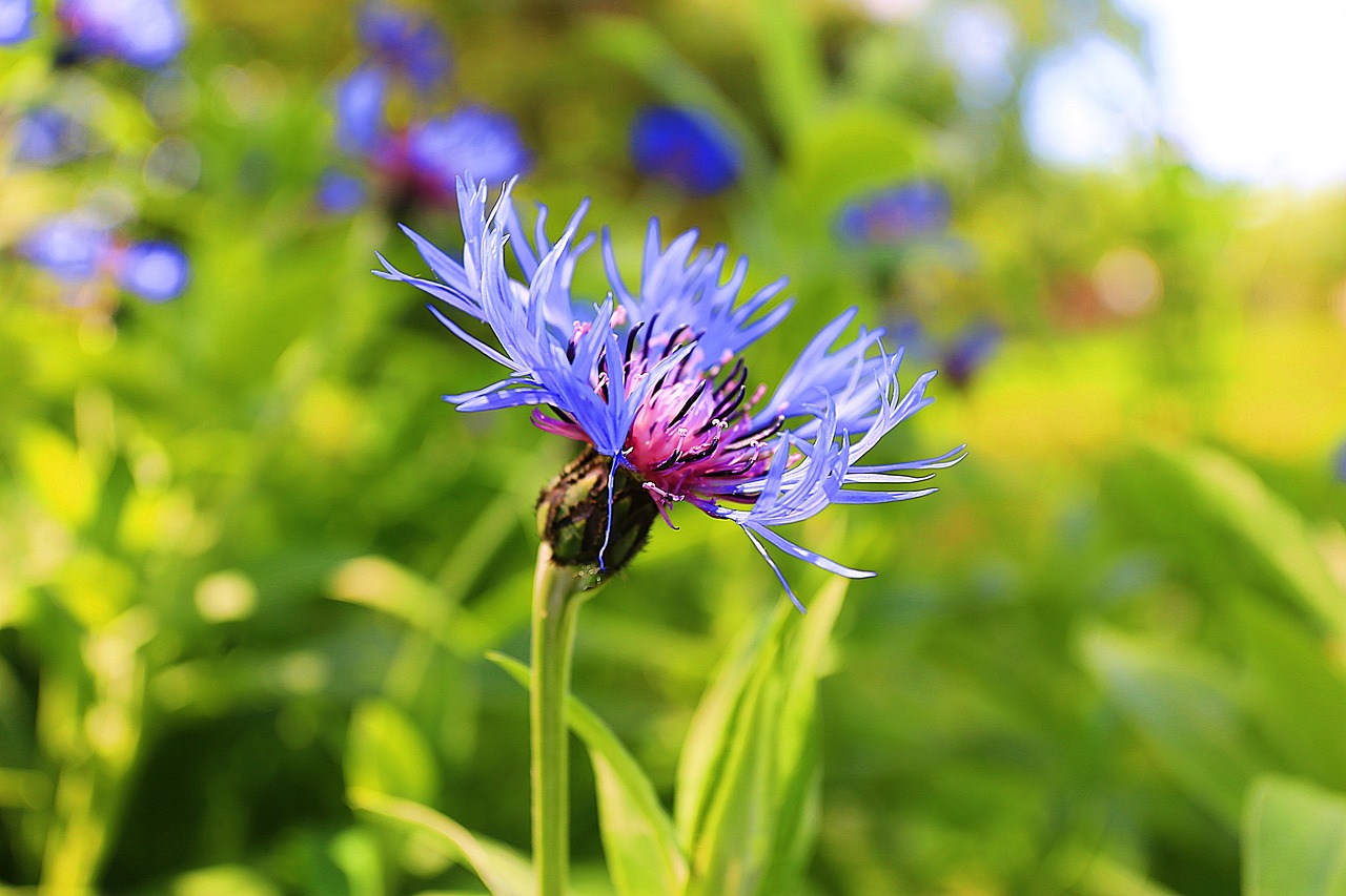 不銹鋼管最新價格與市場動態分析