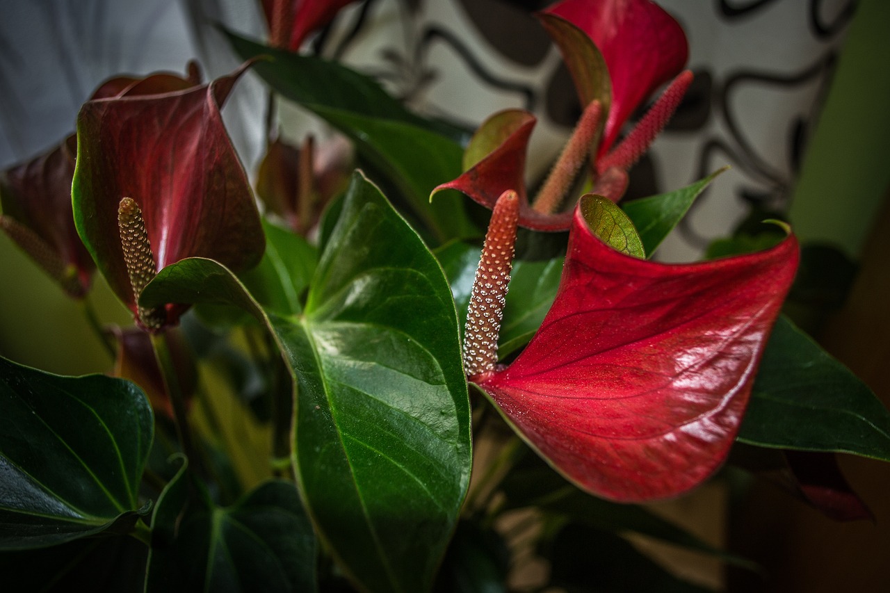 知豆引領綠色出行新篇章的最新動態消息。