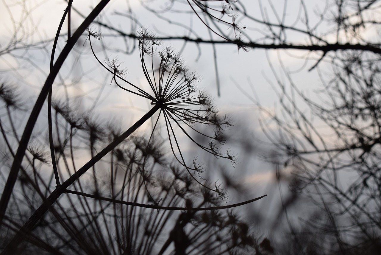 北京紫辰院最新房價動態及趨勢分析