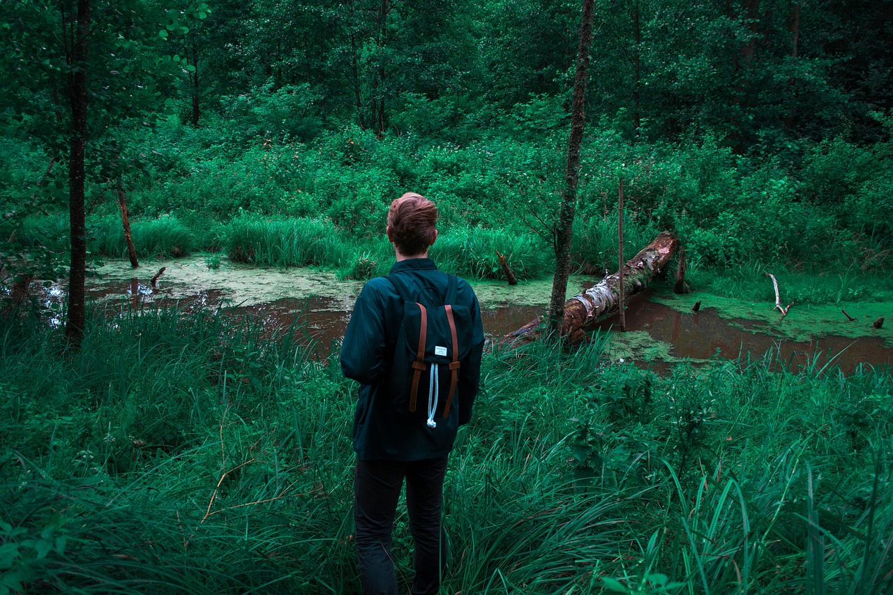 風(fēng)馳人生,探索之旅下載最新版本