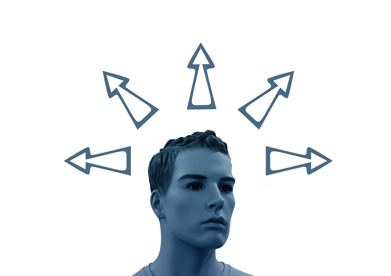 羽絨最新價(jià)格走勢(shì),市場(chǎng)動(dòng)態(tài)、影響因素與未來(lái)趨勢(shì)深度解析