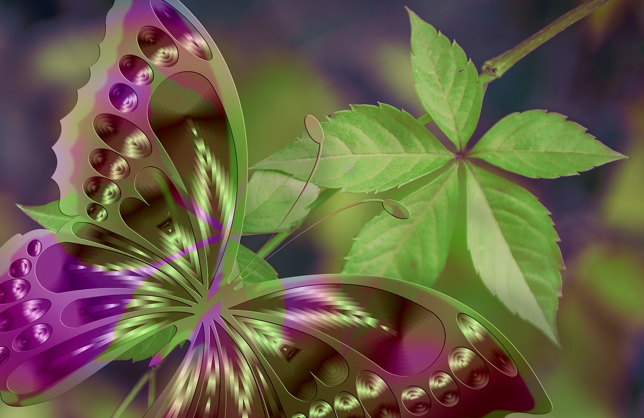 蝴蝶最新底板,科技與藝術(shù)的完美融合