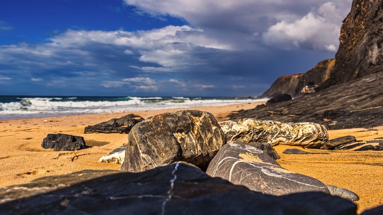 景島樂最新,音樂與自然的和諧融合之旅