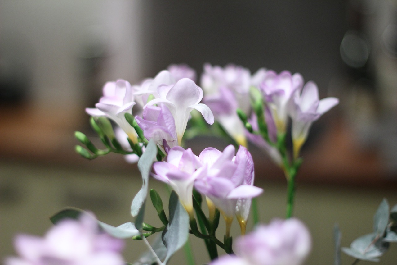 掛Q軟件最新動(dòng)態(tài)與技術(shù)探討,涉及違法犯罪的警示