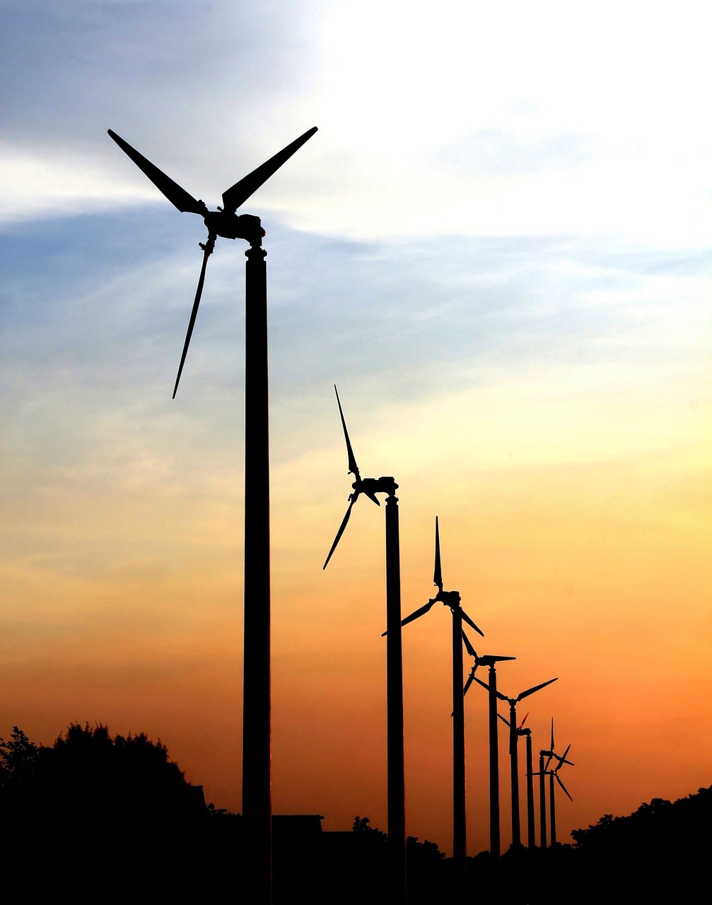 探索水主最新搭配，生態與可持續發展之路的新篇章