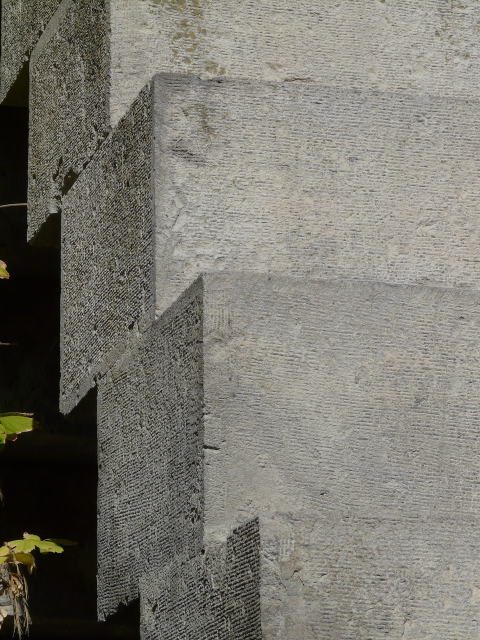 最新雞苗價(jià)格動(dòng)態(tài)及其對(duì)養(yǎng)殖業(yè)的影響分析