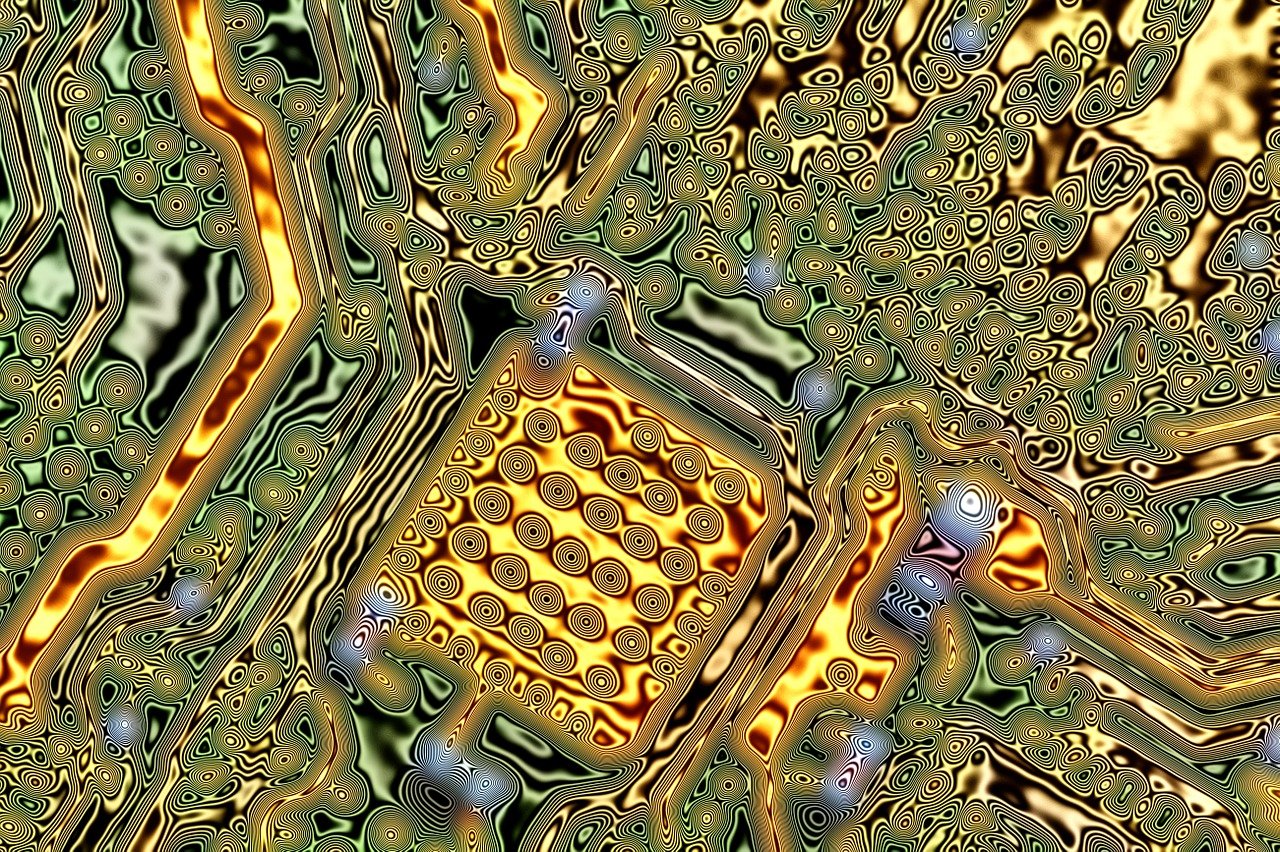 最新藥食同源探索,健康領(lǐng)域的新突破