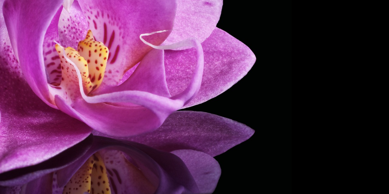 南愛星最新動態,明星之光的璀璨閃耀