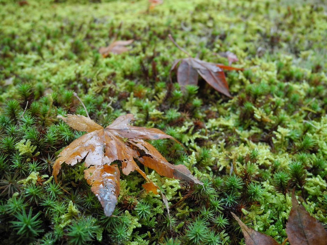 北流最新新聞深度解析，動態更新與熱點聚焦