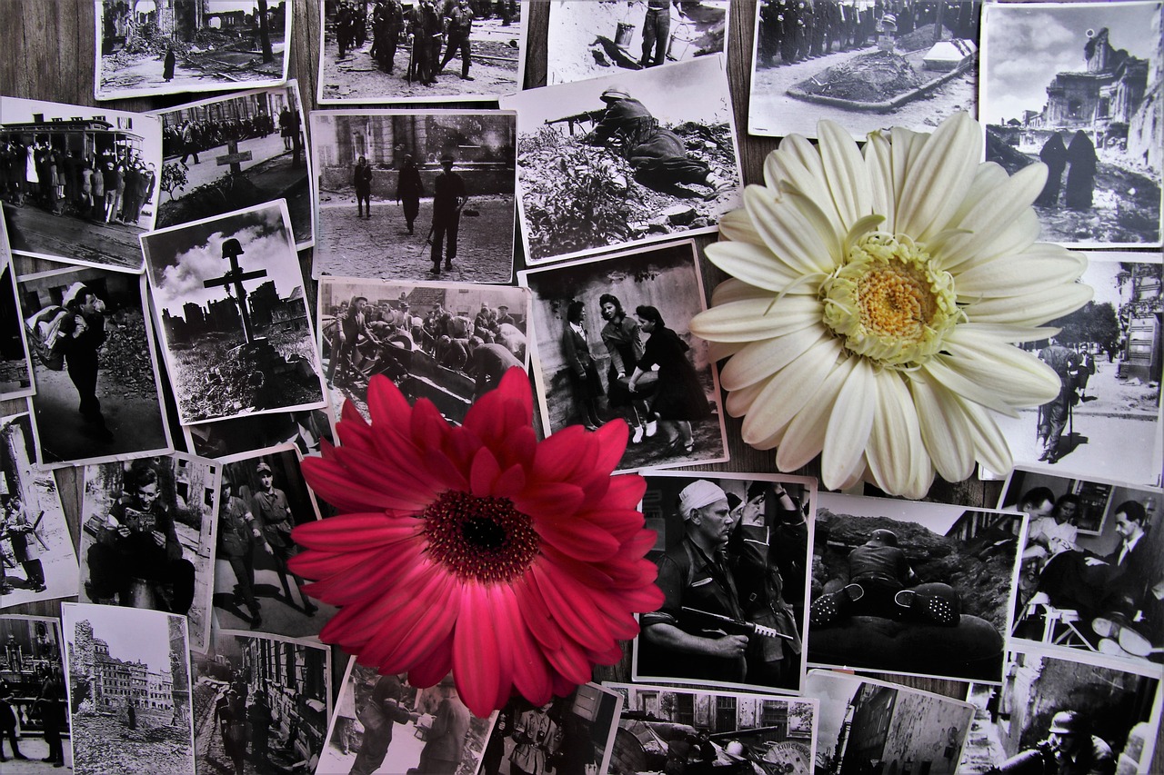 小七2016最新照片,時光定格的美好瞬間