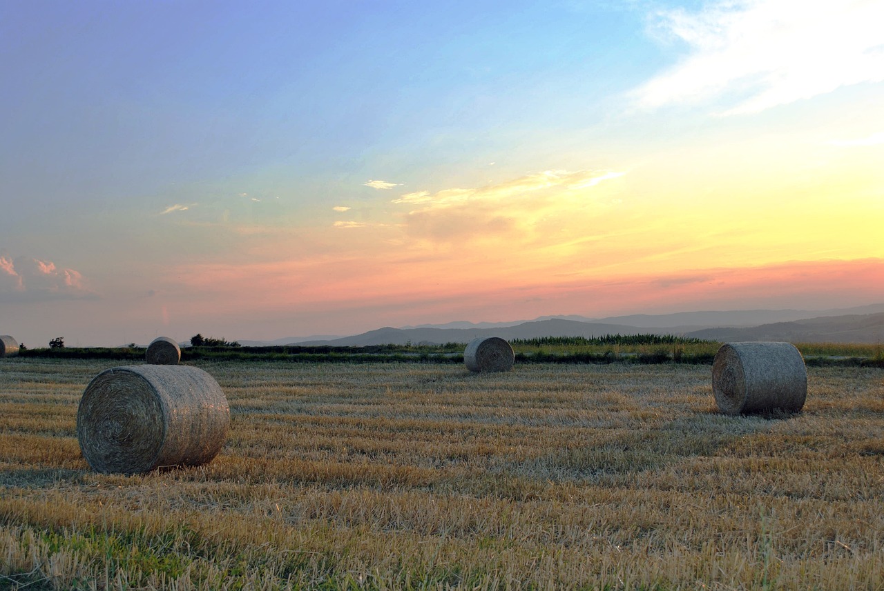 天房發(fā)展最新公告揭秘,深度解讀與最新動(dòng)態(tài)