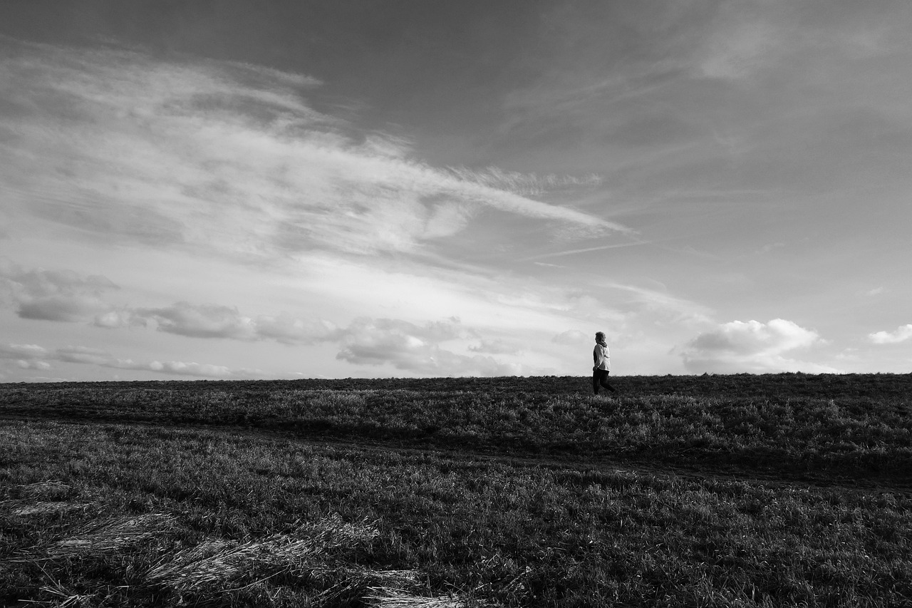 鄒平最新招聘動態發布，共創未來機遇時刻