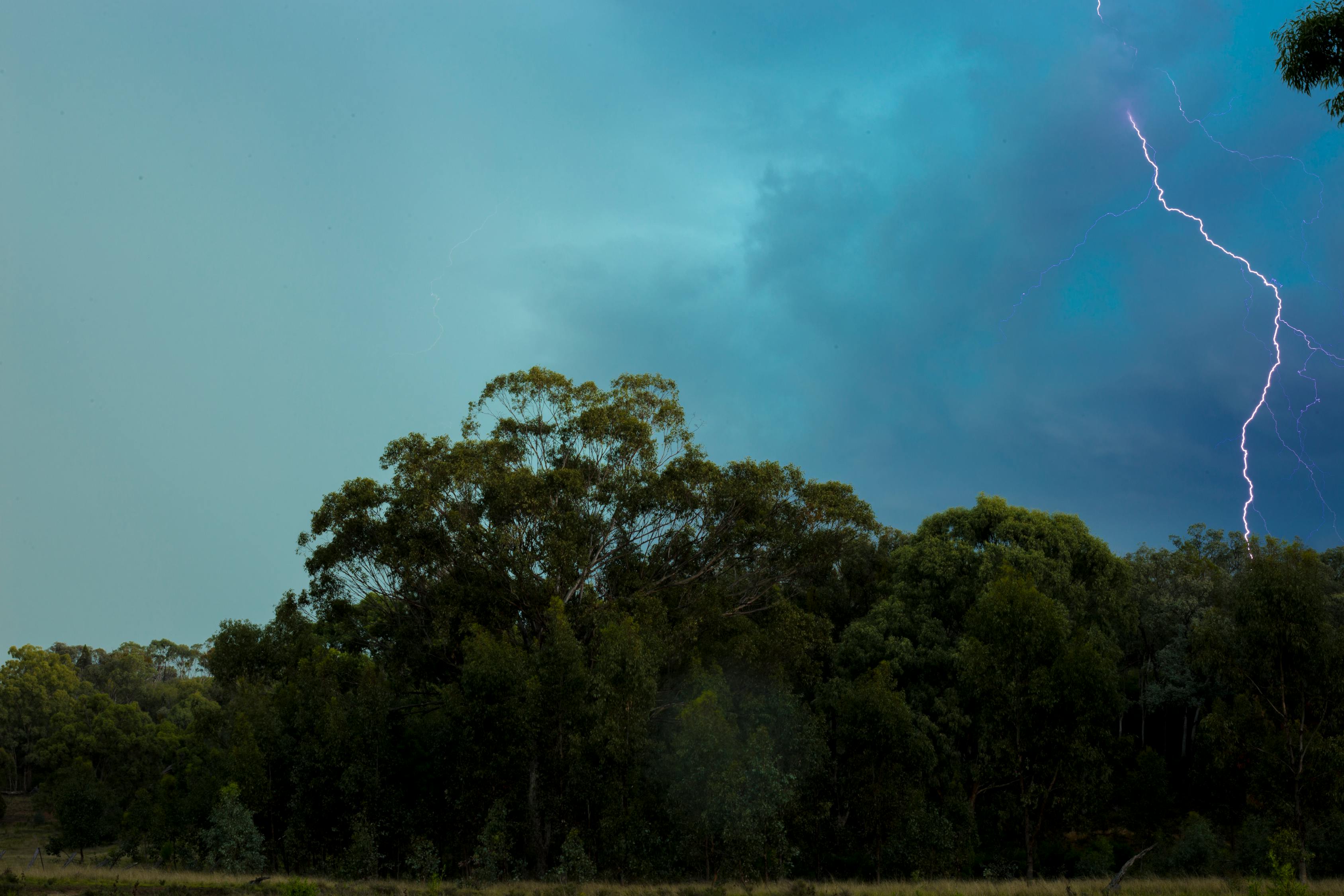 張麗莉最新動(dòng)態(tài),英雄教師的新征程與挑戰(zhàn)