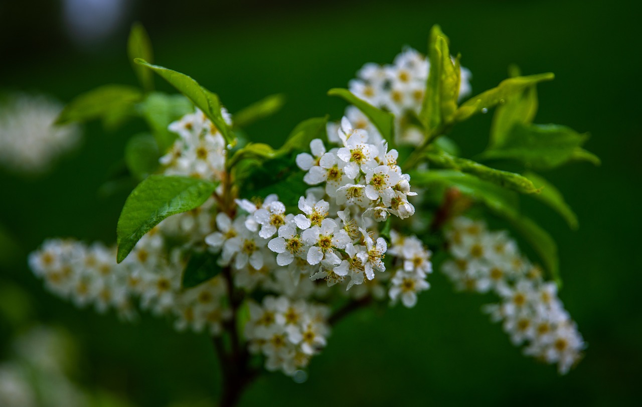遼寧宏運足球最新動態，蓄勢待發，砥礪前行展風采