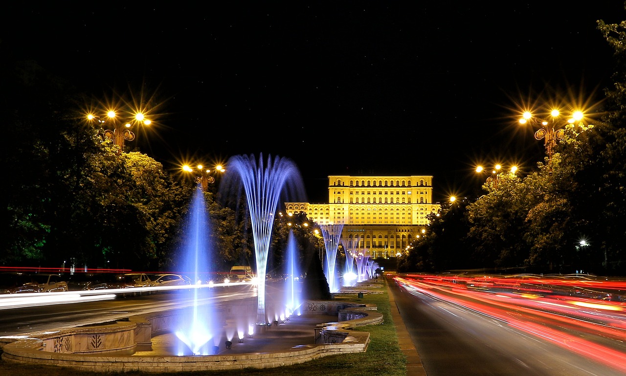 山東棉籽餅最新價格動態分析與趨勢預測