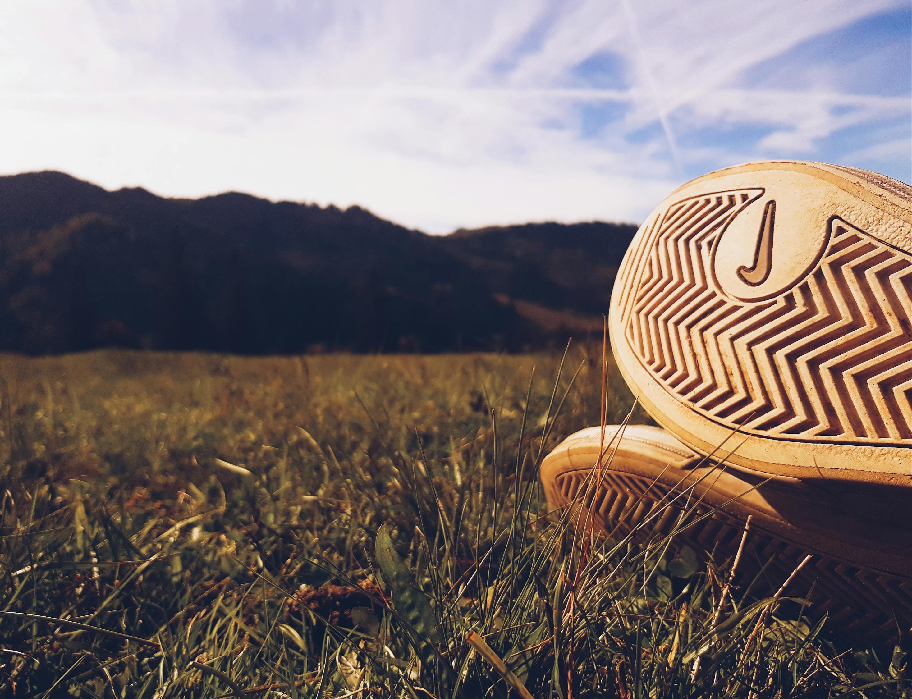 澳門今晚開特馬+開獎結果走勢圖,動態數據處理_終極版EN9215.9002