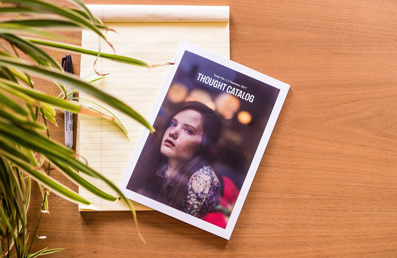 2024新澳正版資料最新更新,快速問題處理_界面版改版記5128.4997