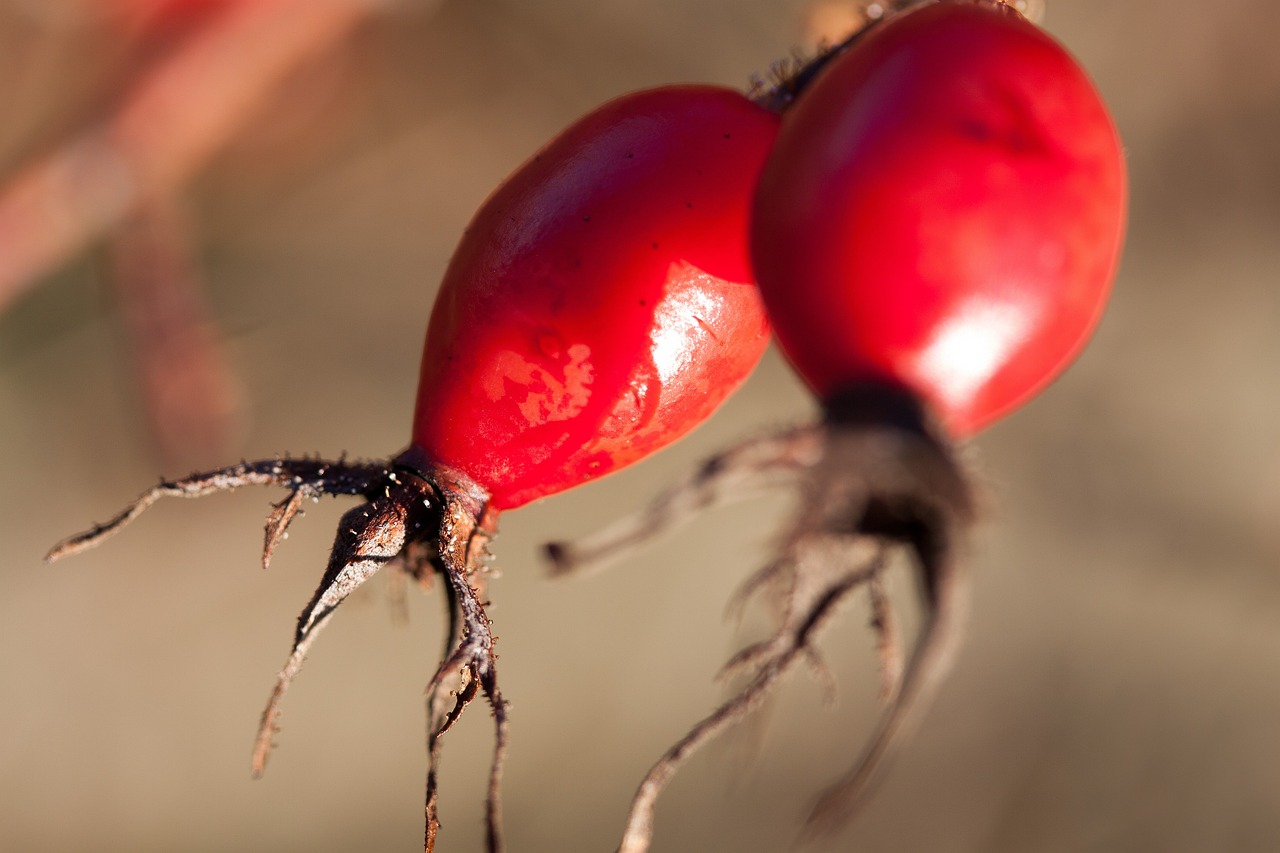 祝福紅城最新房?jī)r(jià)動(dòng)態(tài),實(shí)時(shí)更新,未來(lái)展望及購(gòu)房指南