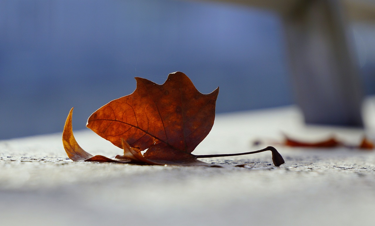 五條國(guó)內(nèi)最新新聞概覽,時(shí)事動(dòng)態(tài)速遞