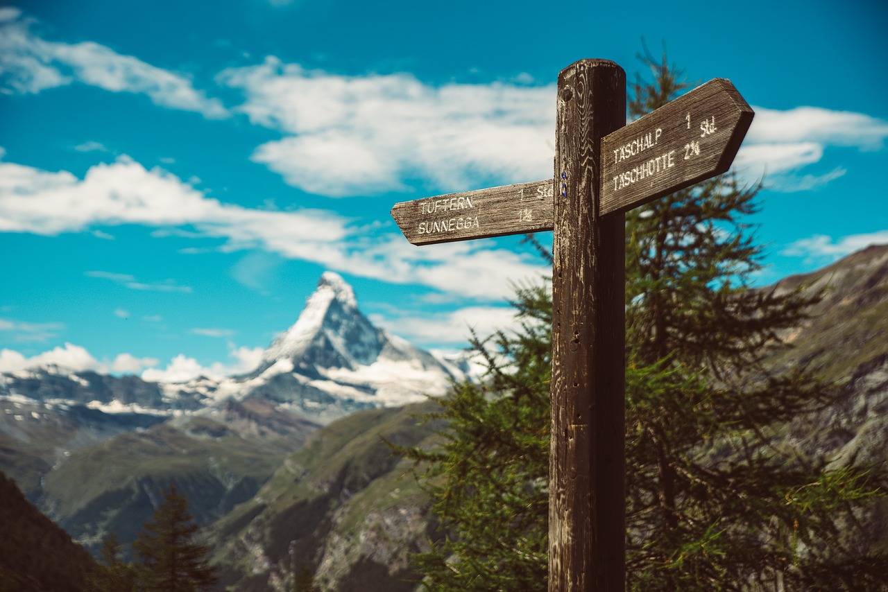 泰利最新路徑探索與突破,揭秘最新動態(tài)與突破進展