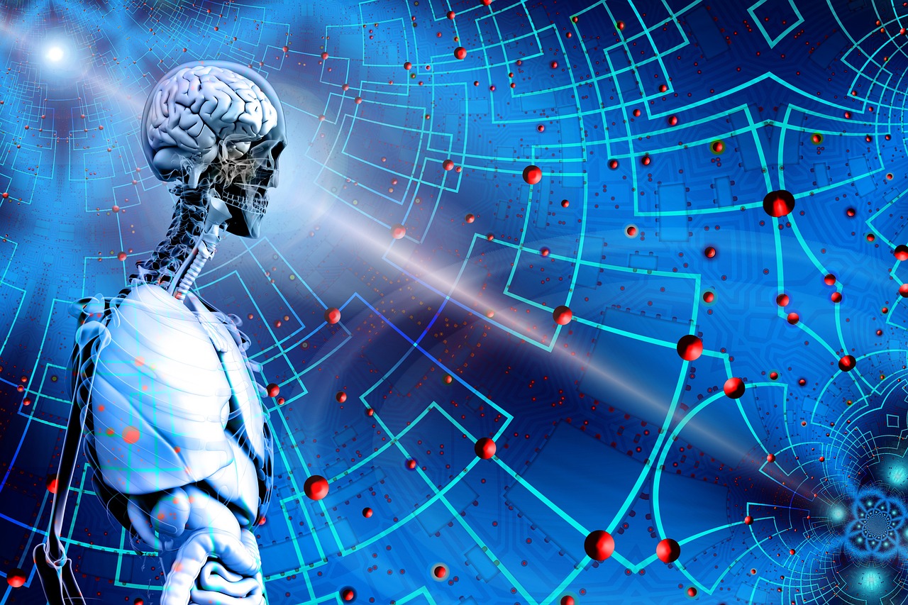 2024新澳正版免費資料,數據解讀:未來構想_互動版63.87.29