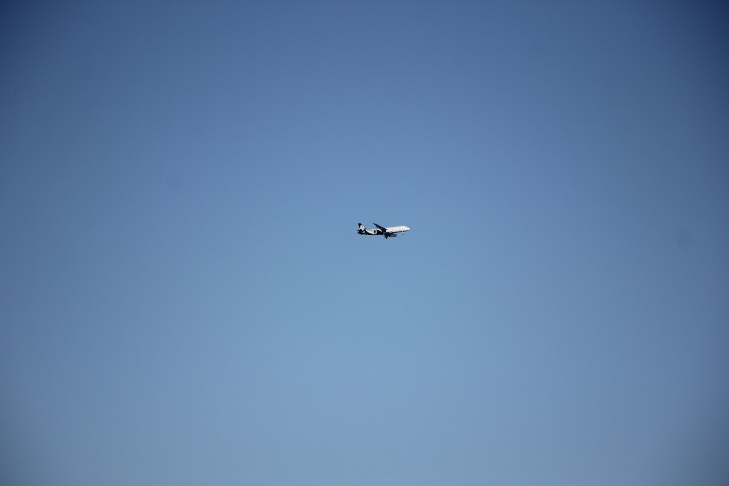 2024年新澳資料免費公開,動態解答方案實時更新_影像記實93.27.44