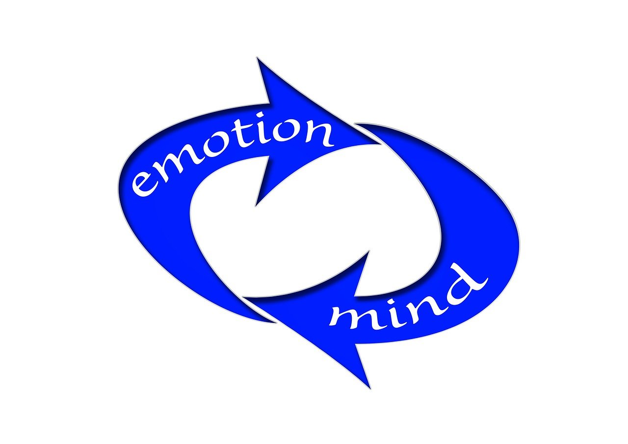 新澳2024大全正版免費，精細化方案決策_創新版65.16.5