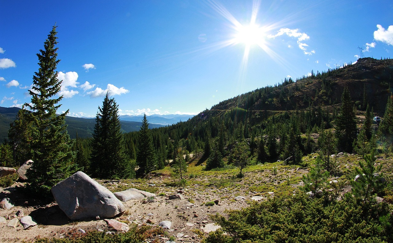 內黃縣最新招聘信息及動態解析