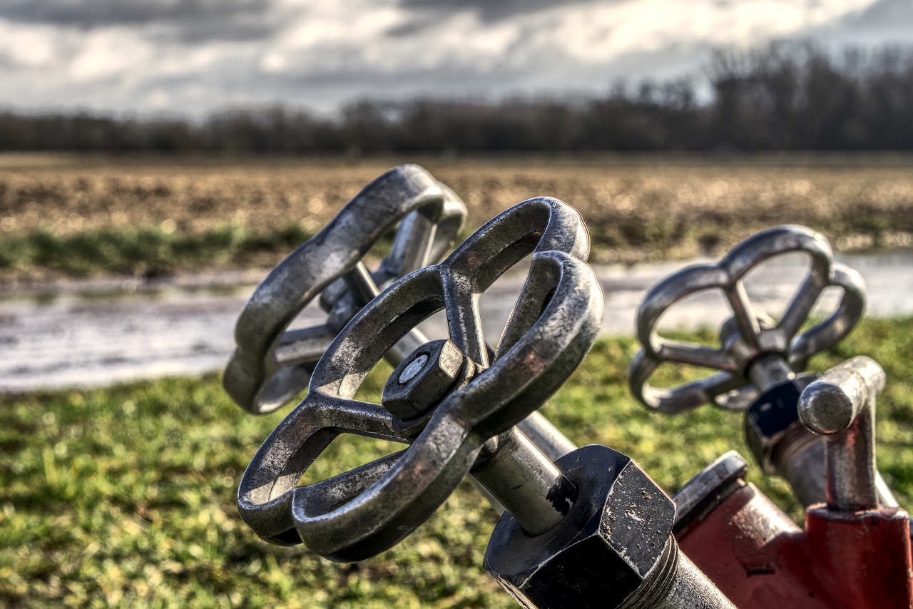 吉林反腐最新動態(tài)全面解讀