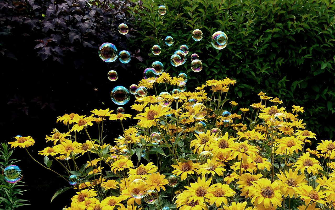 曹妃甸中糧最新招聘解析與動態信息速遞