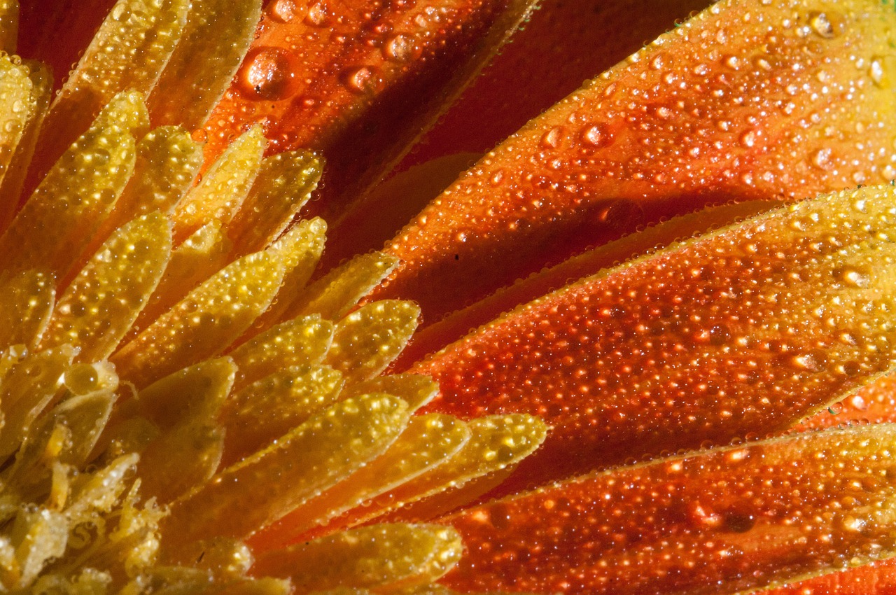 龍永高速最新動態(tài)更新