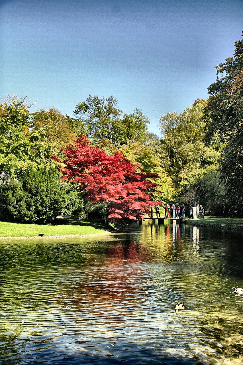 湖南城管最新動(dòng)態(tài)，創(chuàng)新實(shí)踐推動(dòng)城市管理前行