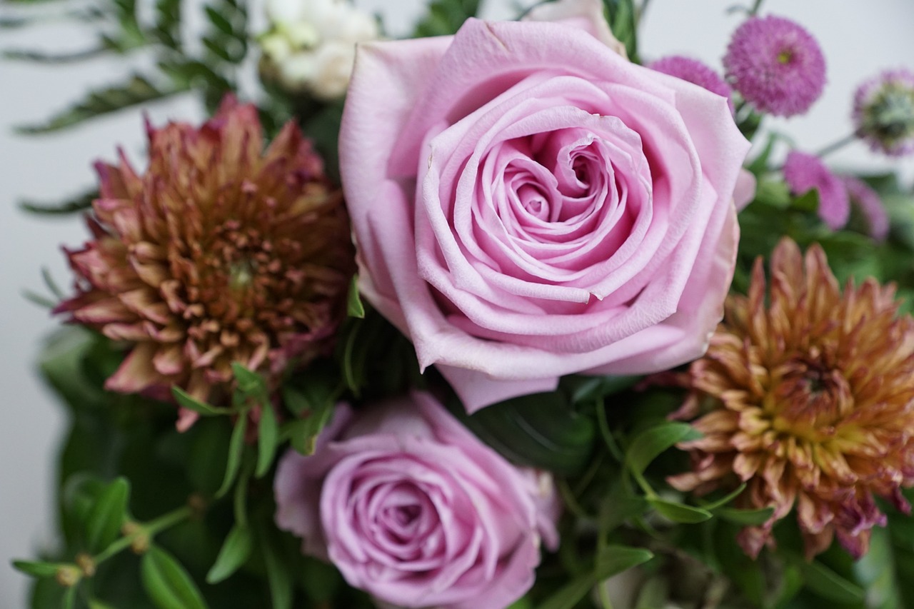 2017善心匯最新動態(tài),傳遞正能量的力量在行動