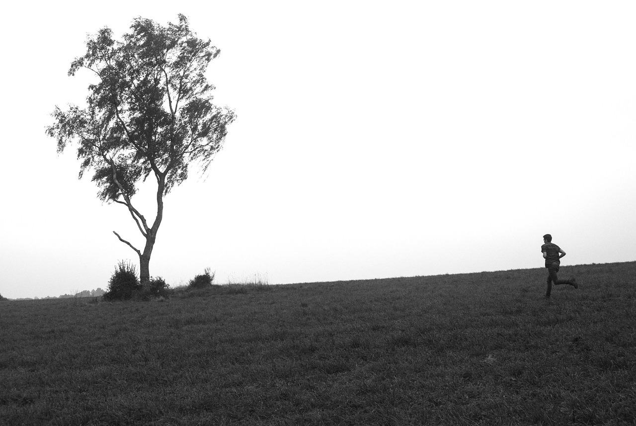 柯卡生最新消息揭秘,科技與健康領域的新動態探索