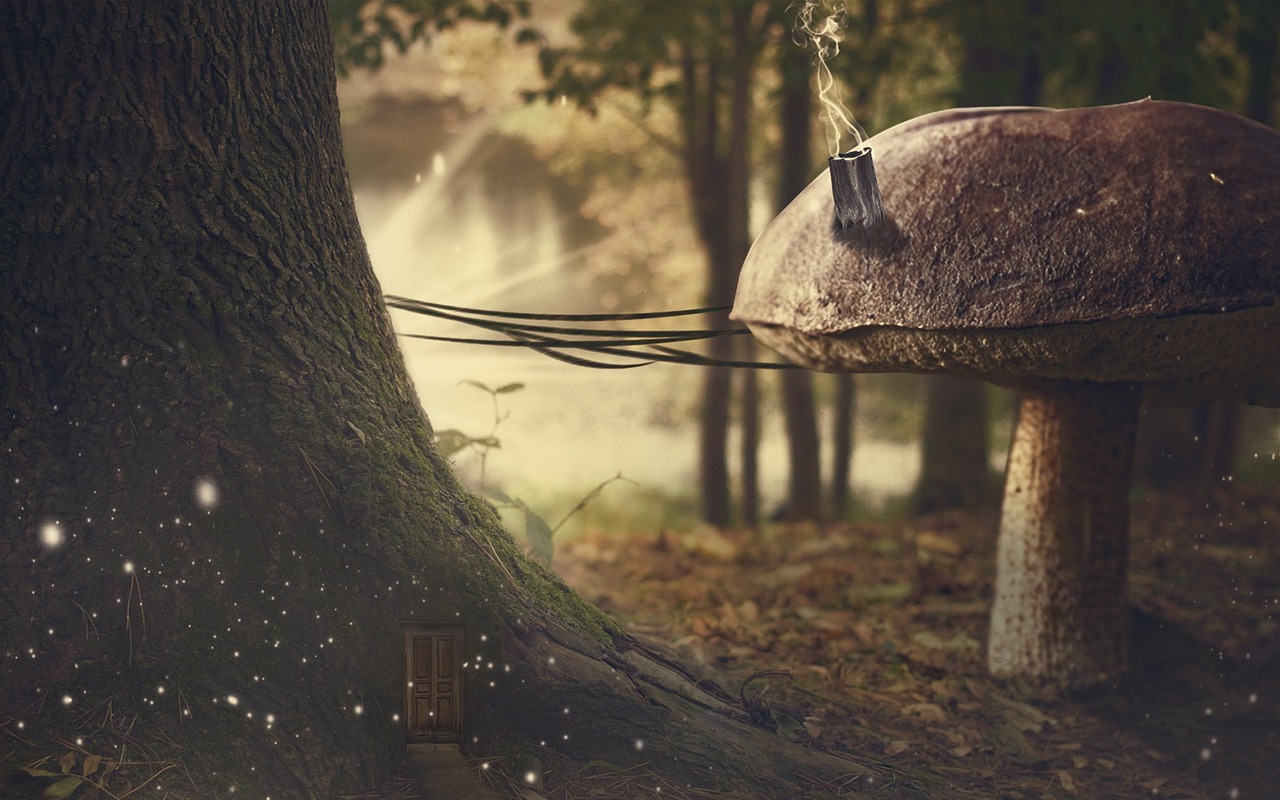 鳳陽劃歸蚌埠的最新動態或消息更新