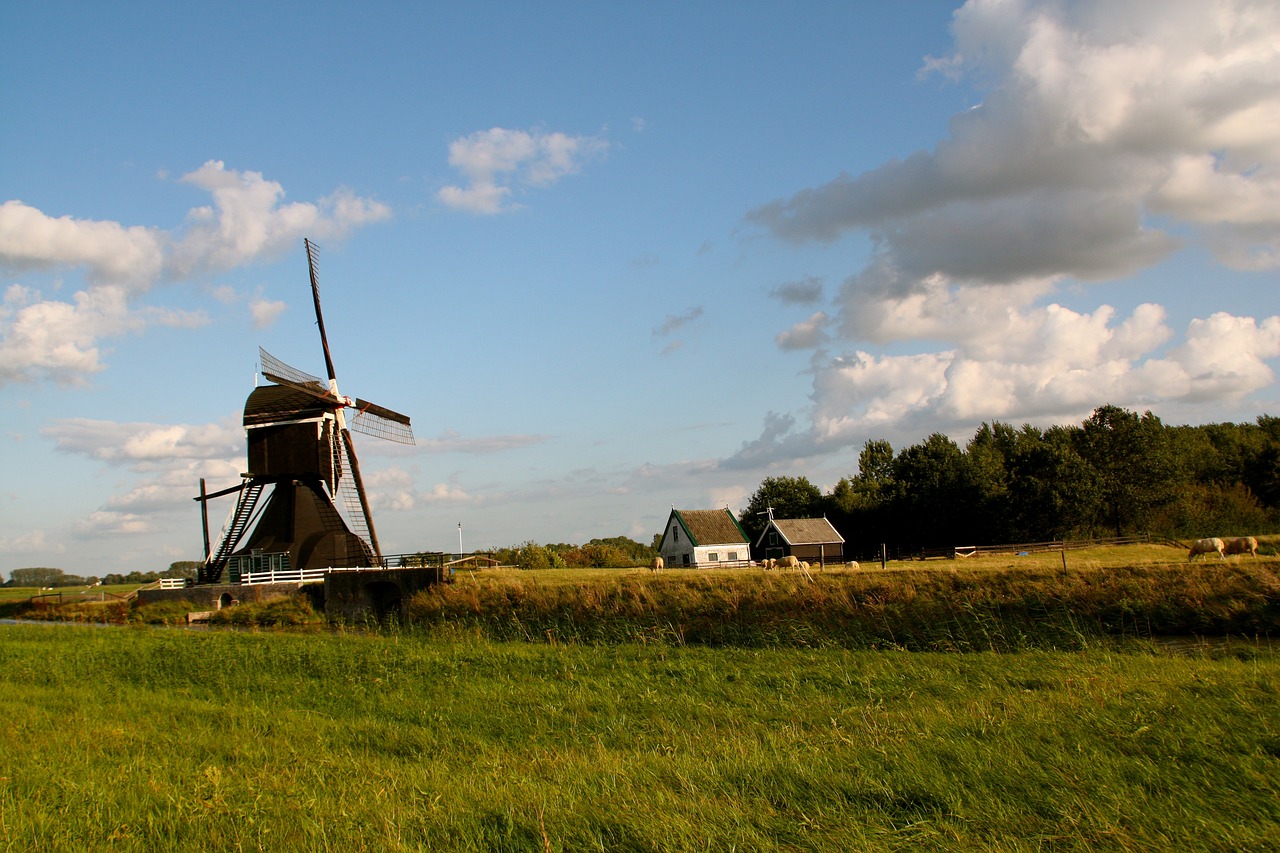 大望村改造最新動態,重塑鄉村面貌,邁向現代化新征程