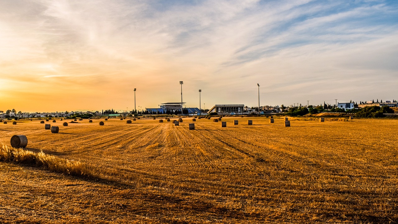 河南養老金上調最新動態,改革穩步前行,福利政策持續優化
