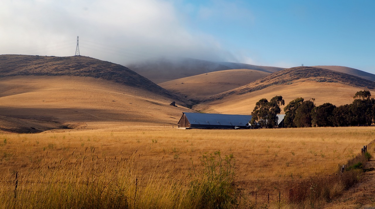 2021年保定疫情最新動態(tài)報(bào)告,今日消息與動態(tài)更新