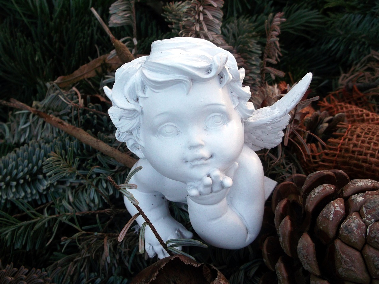 九一桌面最新版下載,全新桌面魅力體驗