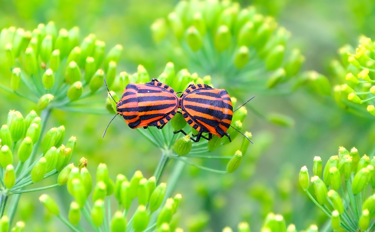 鄭州中原區(qū)公租房最新動態(tài)更新