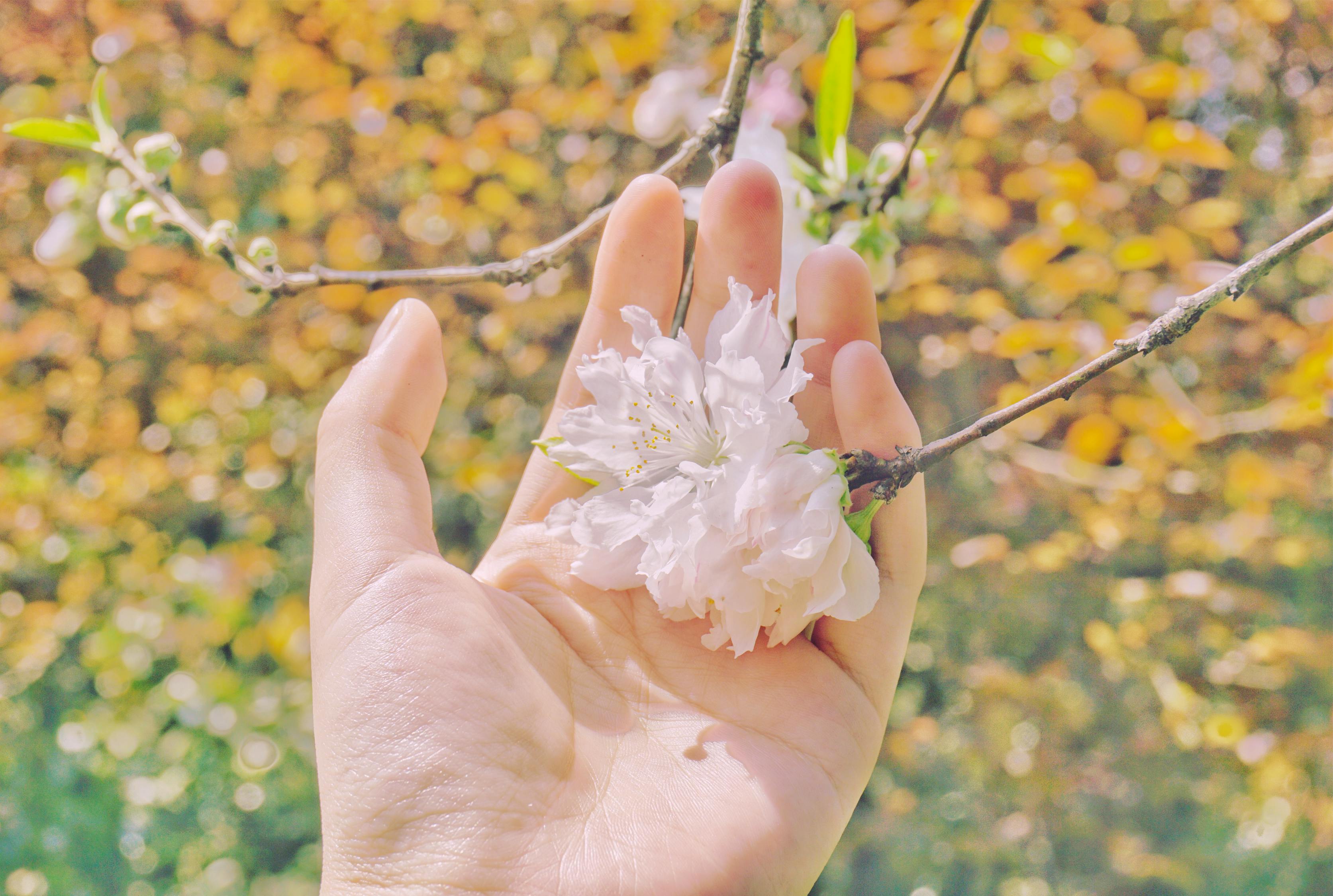 隕石最新動態(tài),開啟揭示宇宙秘密的新篇章