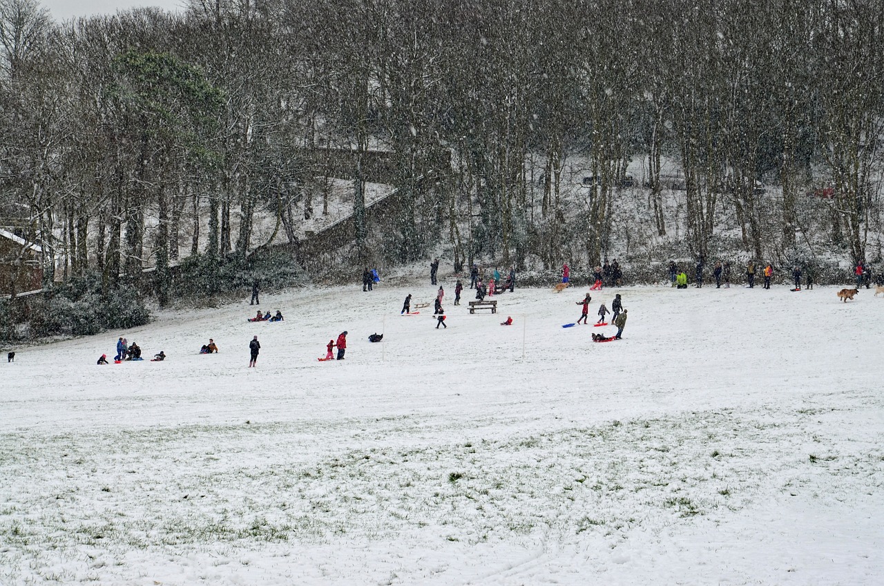 新泰最新房價動態與趨勢分析報告發布