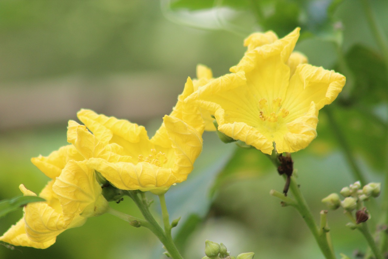 最新盤口語(yǔ)言,洞悉股市動(dòng)態(tài)的必備利器