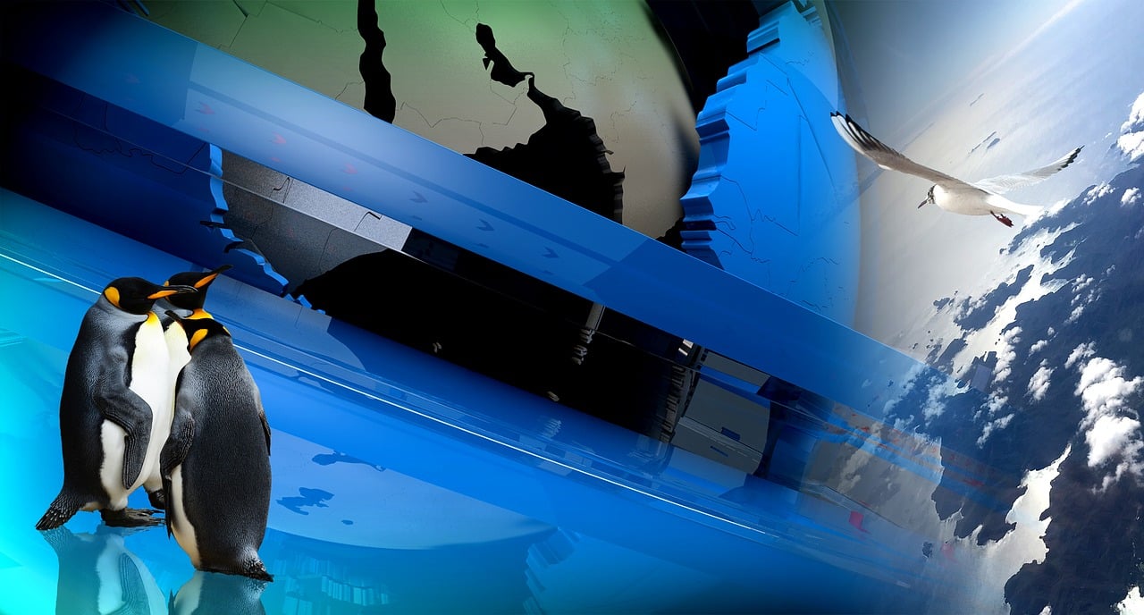 證監會最新IPO名單揭示企業新力量與資本市場新動態