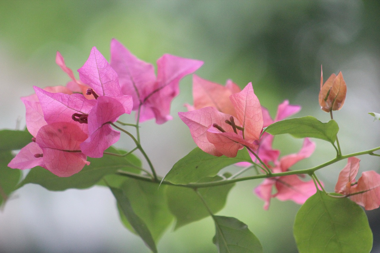 賀宛男最新動態,探索前沿科技,引領創新未來