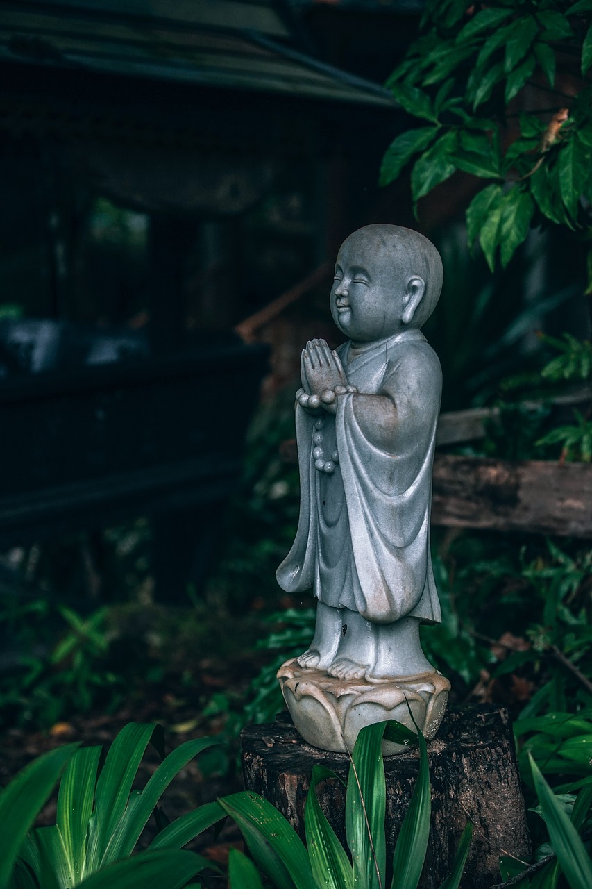 最新戲曲大全,傳統藝術的璀璨瑰寶