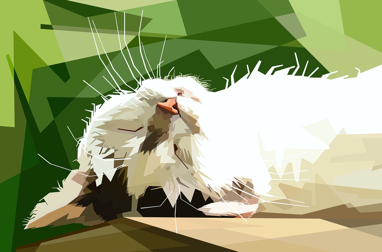 貓兔TV最新動態,新媒體巨頭引領時代潮流